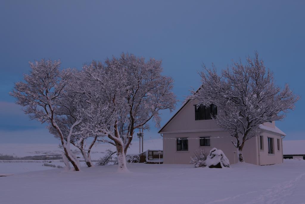 Guesthouse Steindorsstadir, West Iceland Reykholt  Esterno foto