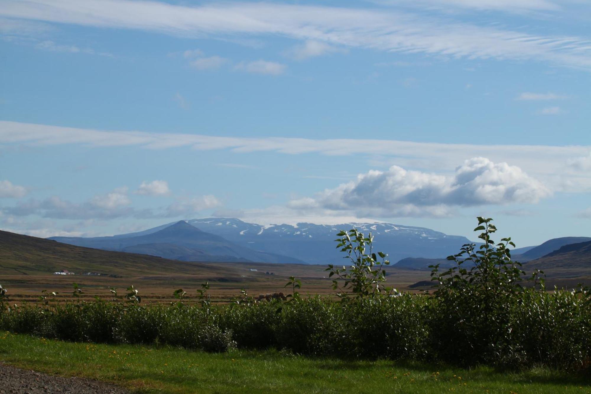 Guesthouse Steindorsstadir, West Iceland Reykholt  Esterno foto
