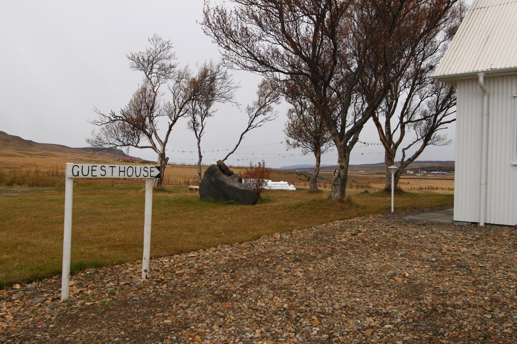 Guesthouse Steindorsstadir, West Iceland Reykholt  Esterno foto