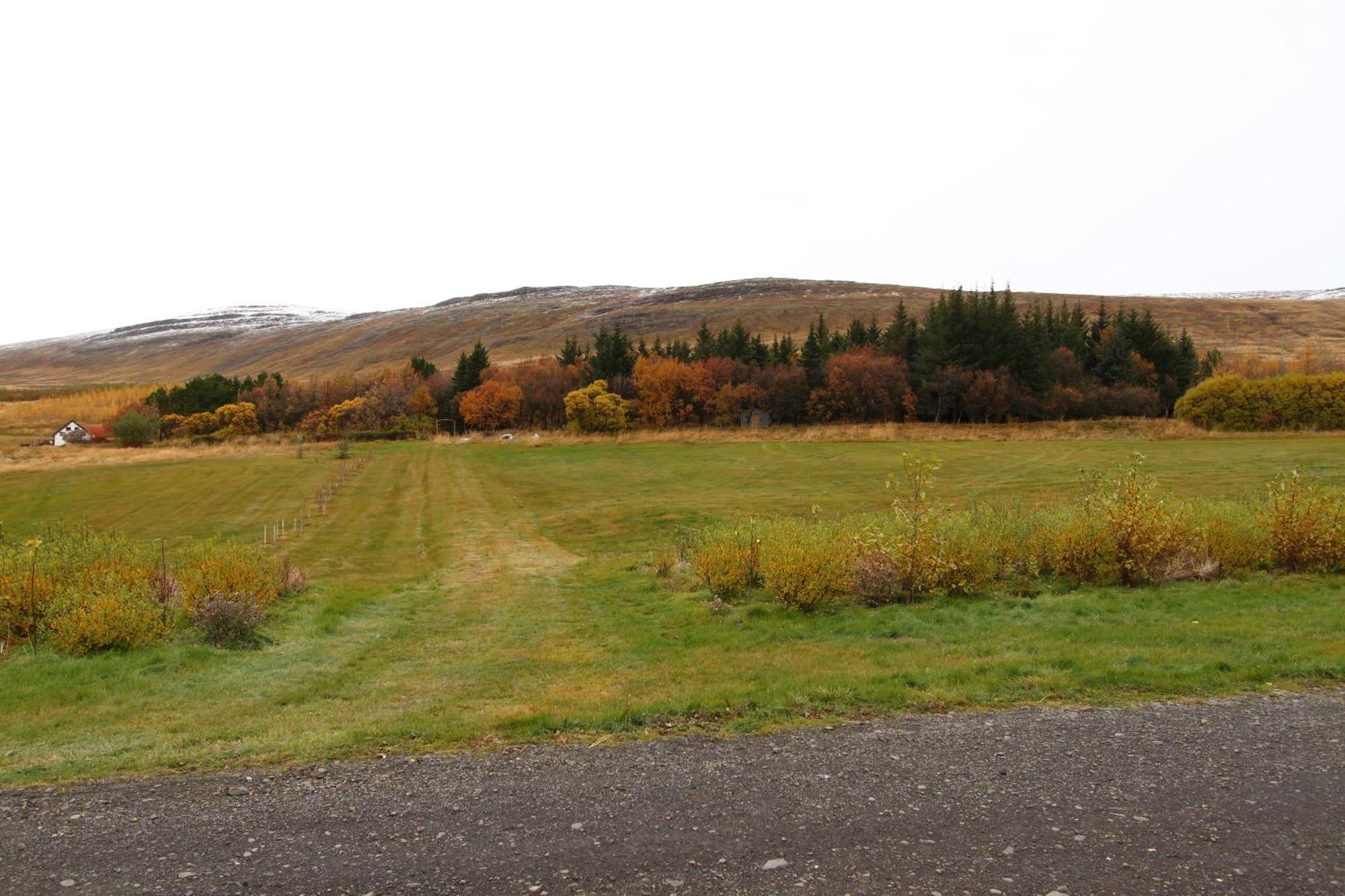 Guesthouse Steindorsstadir, West Iceland Reykholt  Esterno foto