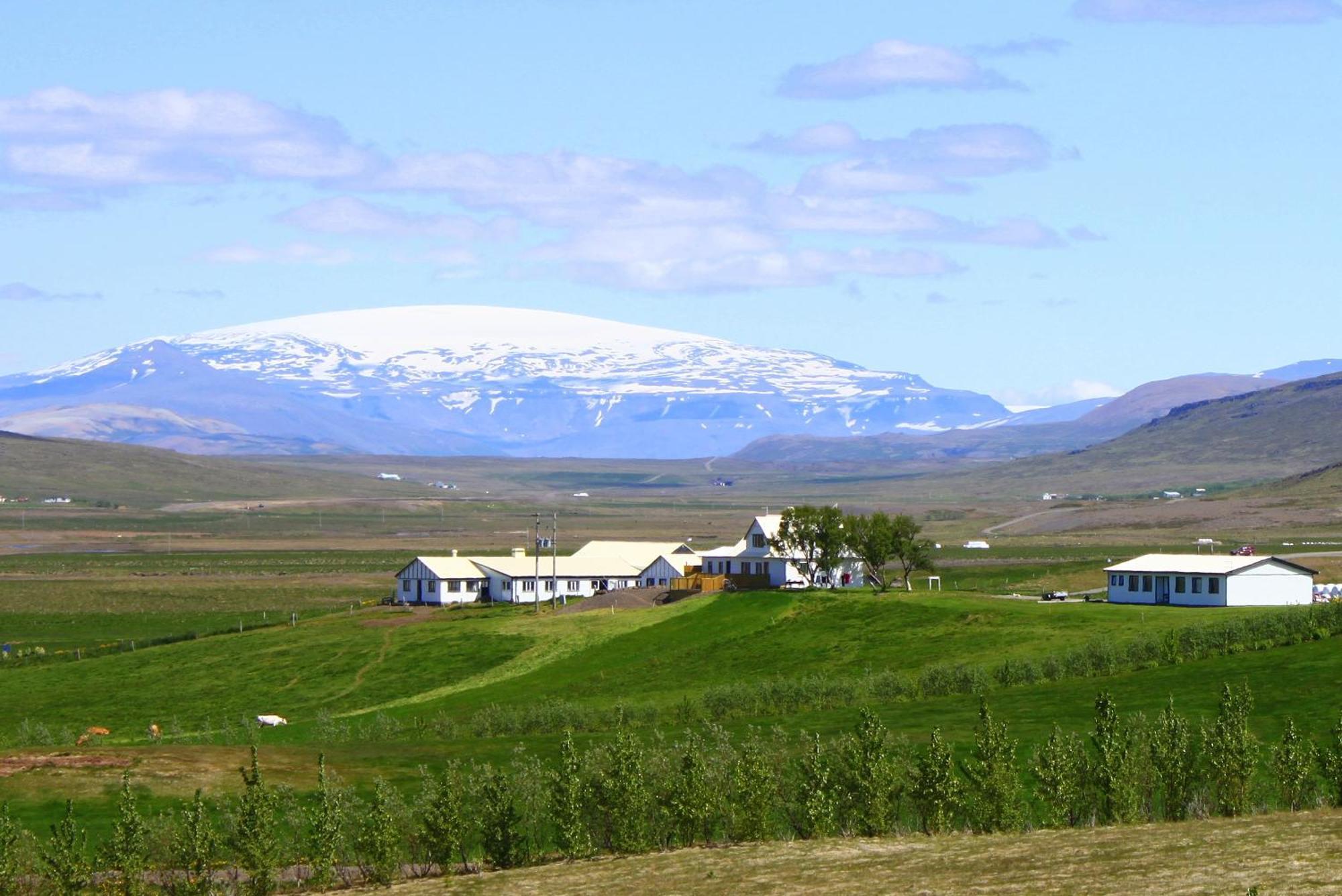 Guesthouse Steindorsstadir, West Iceland Reykholt  Esterno foto