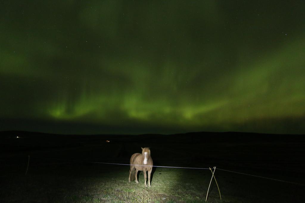 Guesthouse Steindorsstadir, West Iceland Reykholt  Esterno foto